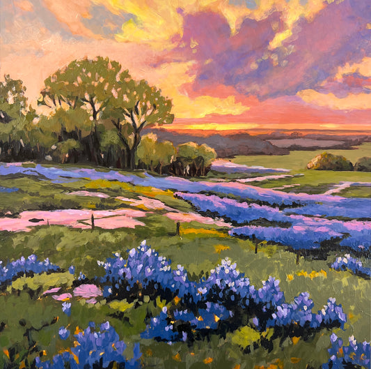 BLUEBONNETS